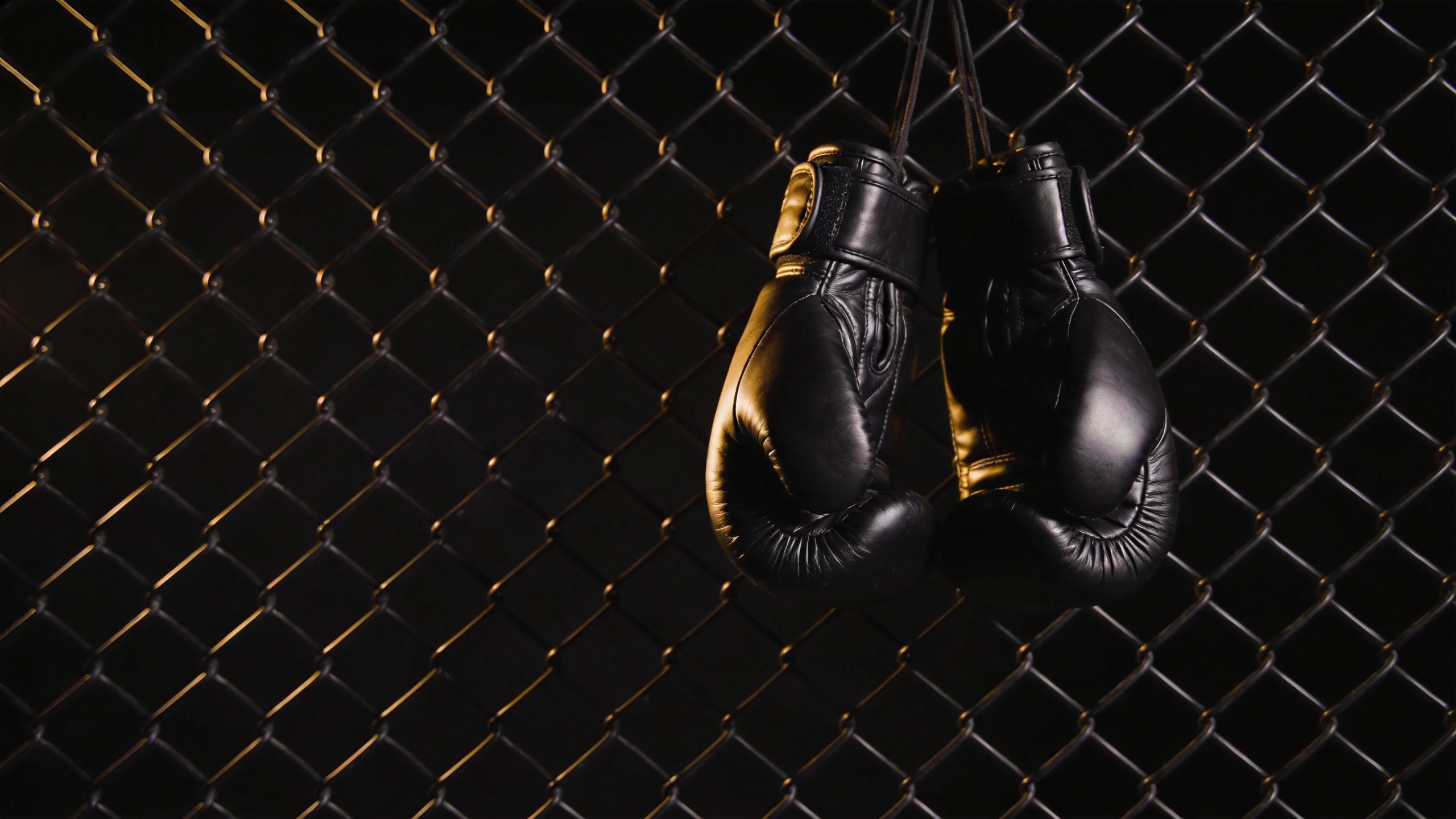 How to Watch MMA: A Complete Beginner's Guide