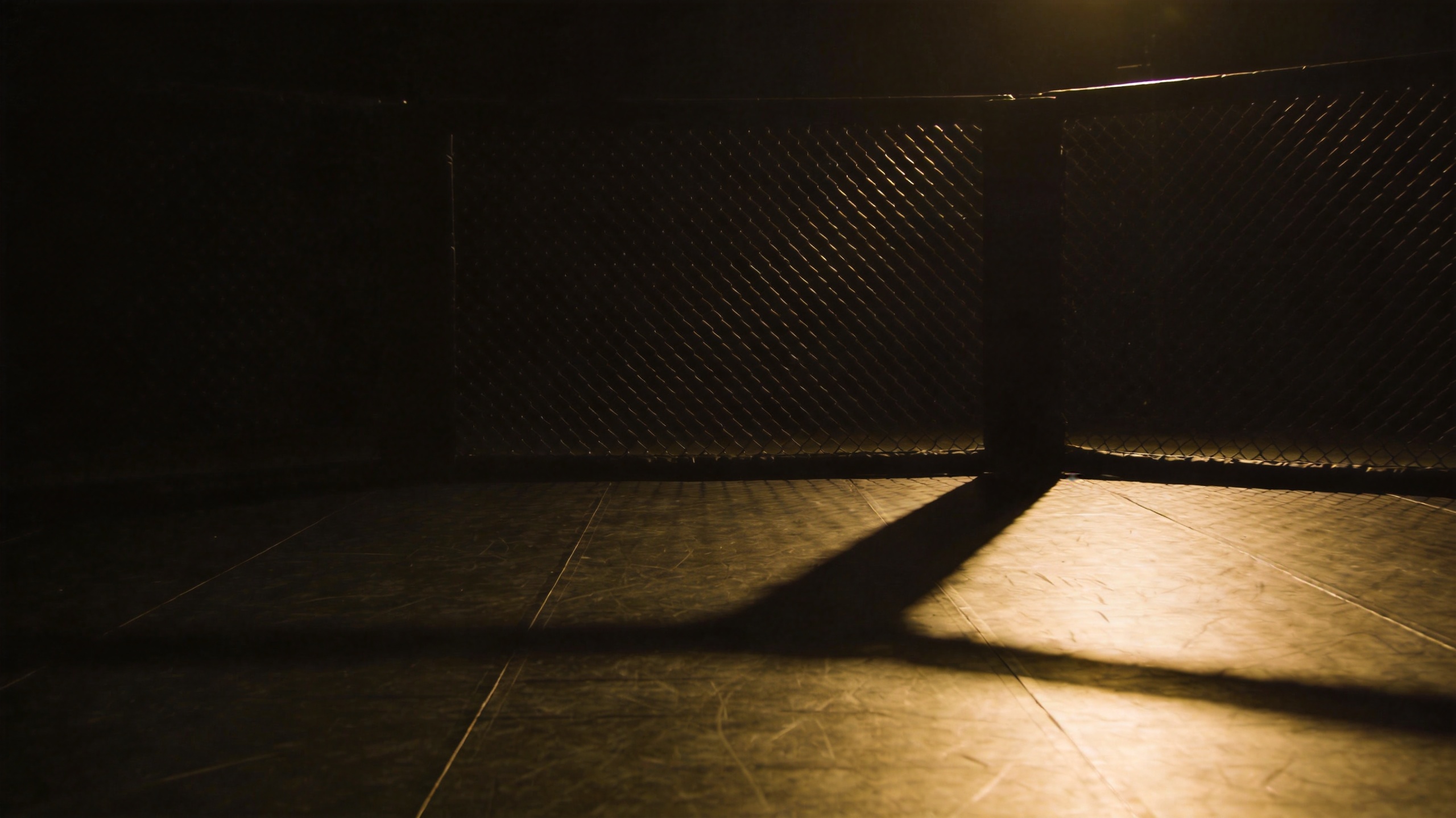 Why Leg Kicks Win Fights: MMA's Most Underrated Weapon